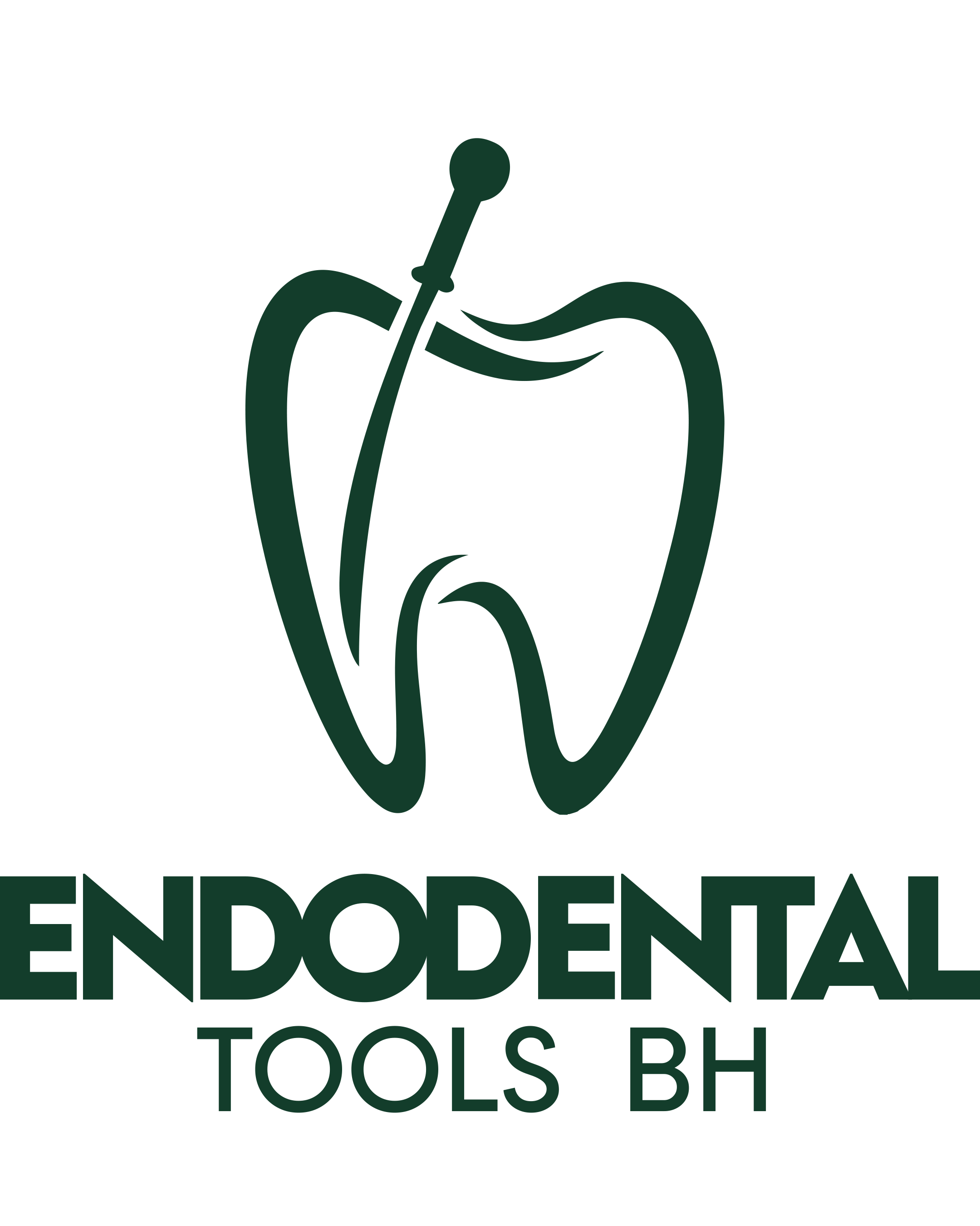 Endodental Tools BH